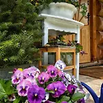 Pacygowka Dağ evi *