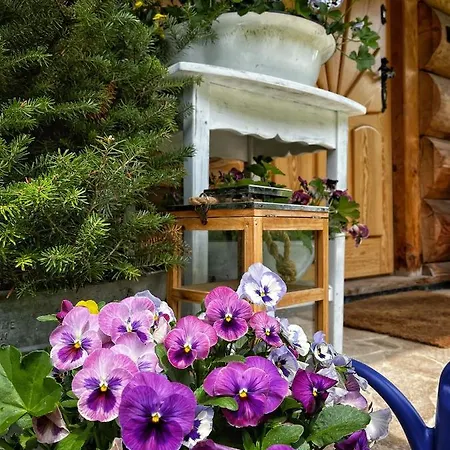 Pacygowka Chalet *