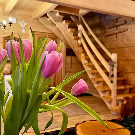 Chalet Pacygowka
