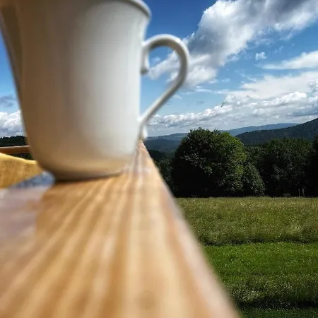 Pacygowka Chalet *