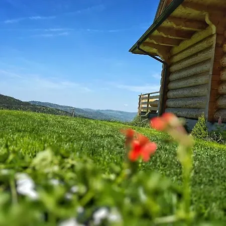 Pacygowka Skawica (Lesser Poland)