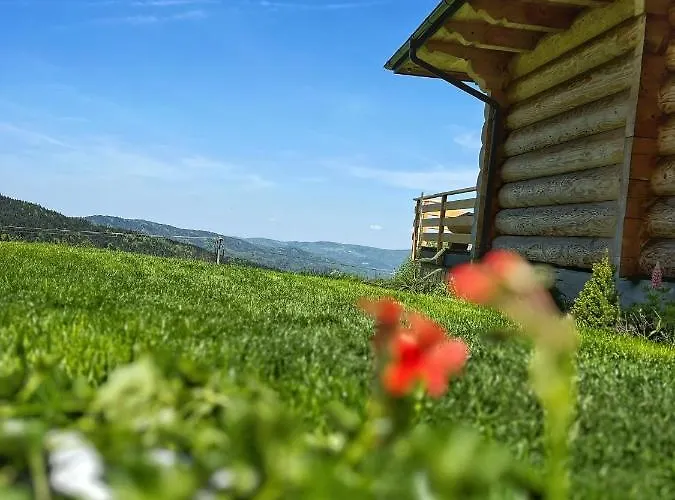 Pacygowka Skawica (Lesser Poland)